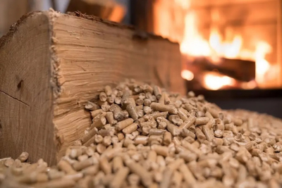 Минлесхоз повысил цены на топливные пеллеты