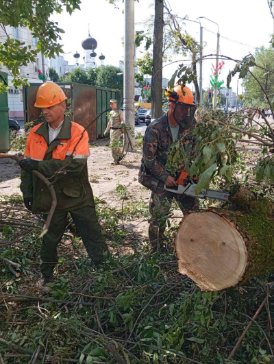 Работники Городецкого лесничества участвуют в ликвидации последствий мощнейшего урагана, который прошел в Могилеве