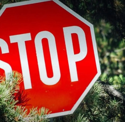 Внимание! В Бобруйском лесхозе действует ограничение на посещение леса