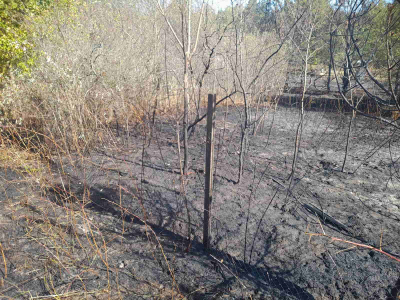 ПРОТЯНУЛИ РУКАВ ПОМОЩИ