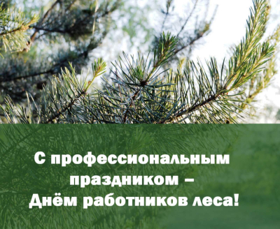 C профессиональным праздником – Днем работников леса!